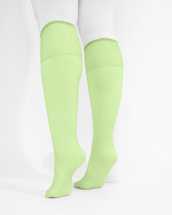 1536-mint-green-sheer-color-knee-highs-socks.jpg